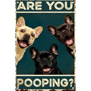 Are You Pooping? French Bull Dog