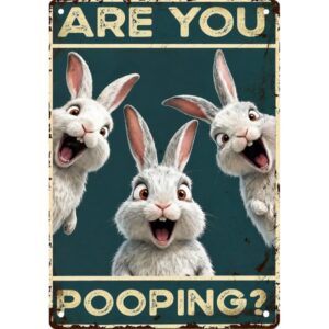 Are You Pooping? Konijn